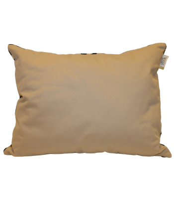 Coussin Velours de Soie meilleur choix