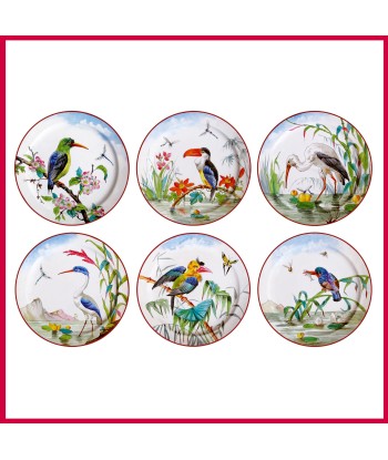 Coffret 6 Assiettes Tôle Oiseaux brillant des détails fins