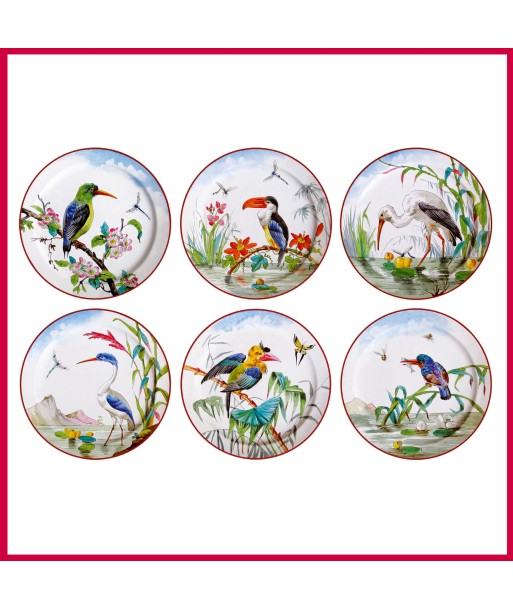 Coffret 6 Assiettes Tôle Oiseaux brillant des détails fins