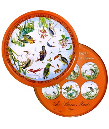 Coffret 6 Assiettes Tôle Oiseaux brillant des détails fins