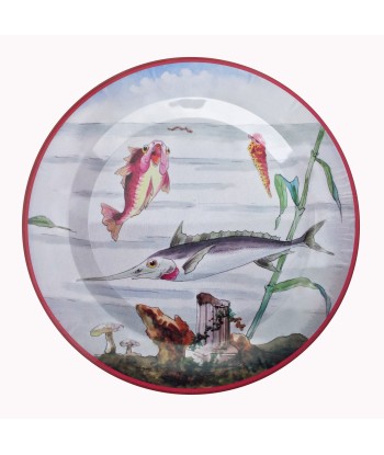 Coffret 6 Assiettes Tôle Poissons Faites des économies