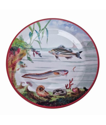 Coffret 6 Assiettes Tôle Poissons Faites des économies