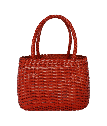 Sac Leo Original Terracotta la colonne vertébrale