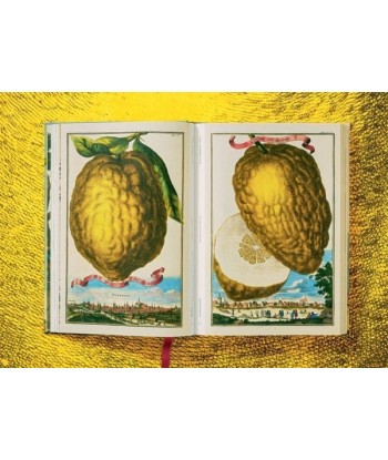 The Book Of Citrus Fruits les ctes