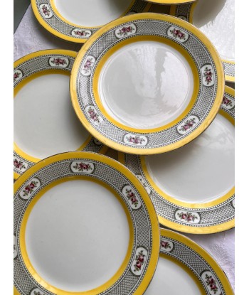 Onze assiettes à dessert en porcelaine anglaise Windsor England CMP - jaunes à décor de fleurs sur le site 