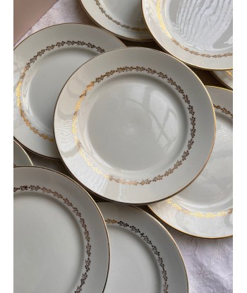 Neuf grandes assiettes en faïence blanche à décor de lierre doré Par le système avancé 