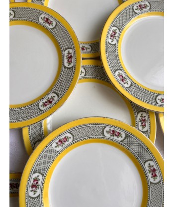 Onze assiettes à dessert en porcelaine anglaise Windsor England CMP - jaunes à décor de fleurs sur le site 