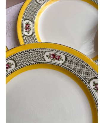 Onze assiettes à dessert en porcelaine anglaise Windsor England CMP - jaunes à décor de fleurs sur le site 