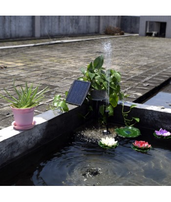 Fontaine de Bassin Solaire le des métaux précieux