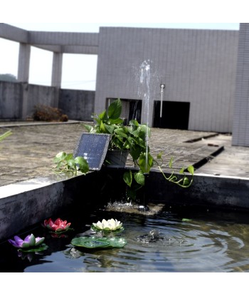 Fontaine de Bassin Solaire le des métaux précieux