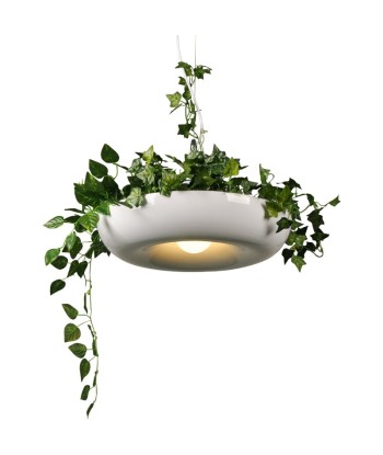 Porte Plante Plafond Luminaire Fin de série