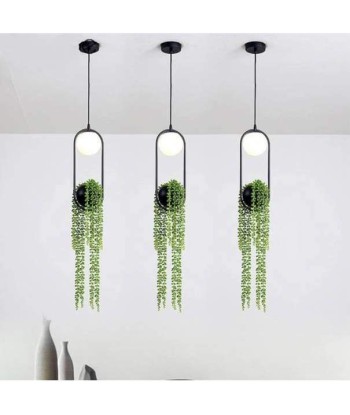 Lampe Porte Plante les ctes