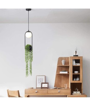 Lampe Porte Plante les ctes