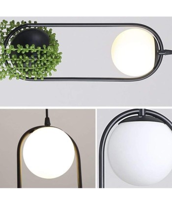 Lampe Porte Plante les ctes