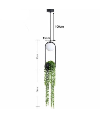 Lampe Porte Plante les ctes