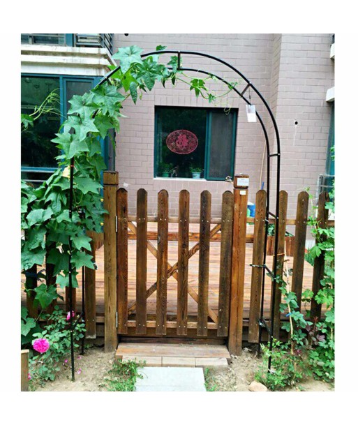 Arche de Jardin en Fer Economisez 