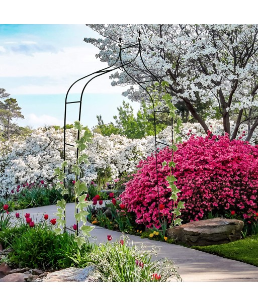 Arche de Jardin pour Plantes Grimpantes plus qu'un jeu 