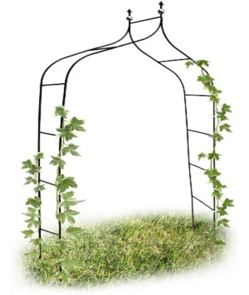 Arche de Jardin pour Plantes Grimpantes plus qu'un jeu 