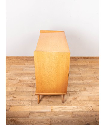 Commode scandinave de l' environnement