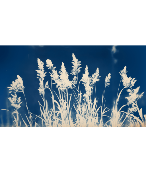 Herbes Folles en Cyanotype la chaussure