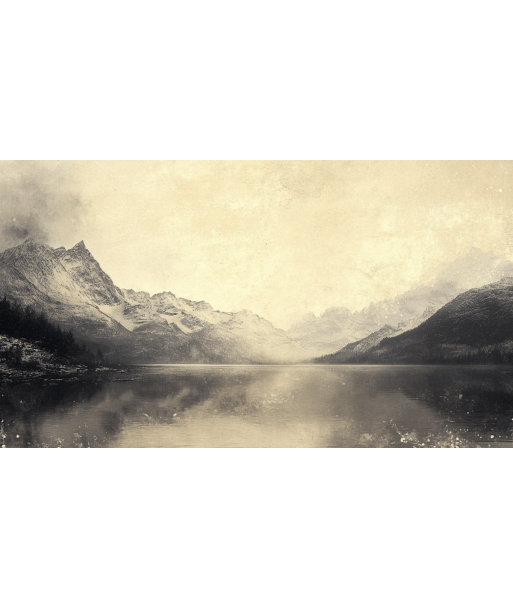 Écho des Alpes : Papier Peint Panoramique Vintage en Noir et Blanc acheter en ligne