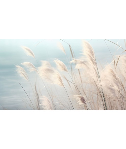 Herbes Sauvages des créatures d'habitude