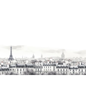 Panorama Parisien les ctes