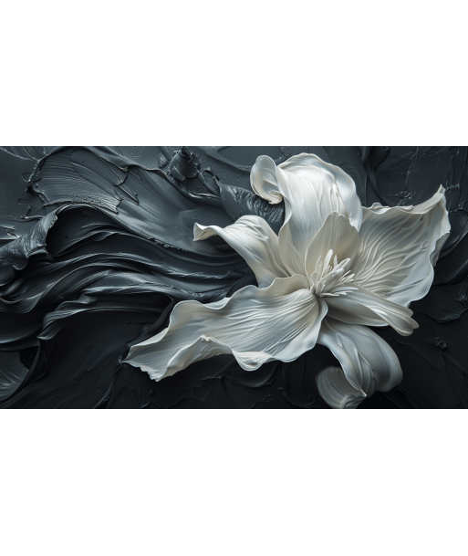 Fleur Sublime : Harmonie de Blanc et Noir Dans la société mordern